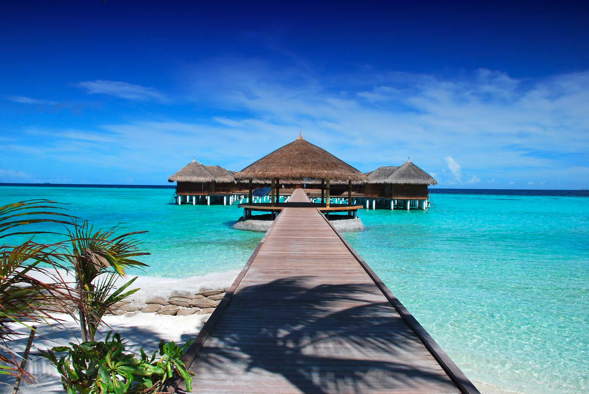 Leia mais sobre o artigo MALDIVAS | A viagem dos sonhos